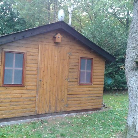 הוילה Resteigne Chalet Imme מראה חיצוני תמונה